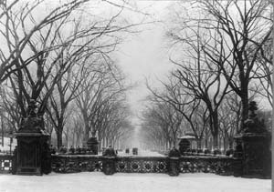 Central Park in the snow, 1906.